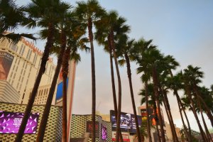 The Strip, Las Vegas