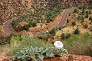 Zion National Park