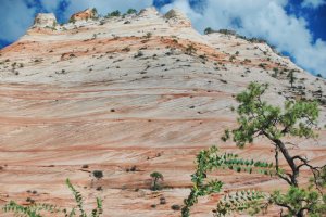 Zion National Park