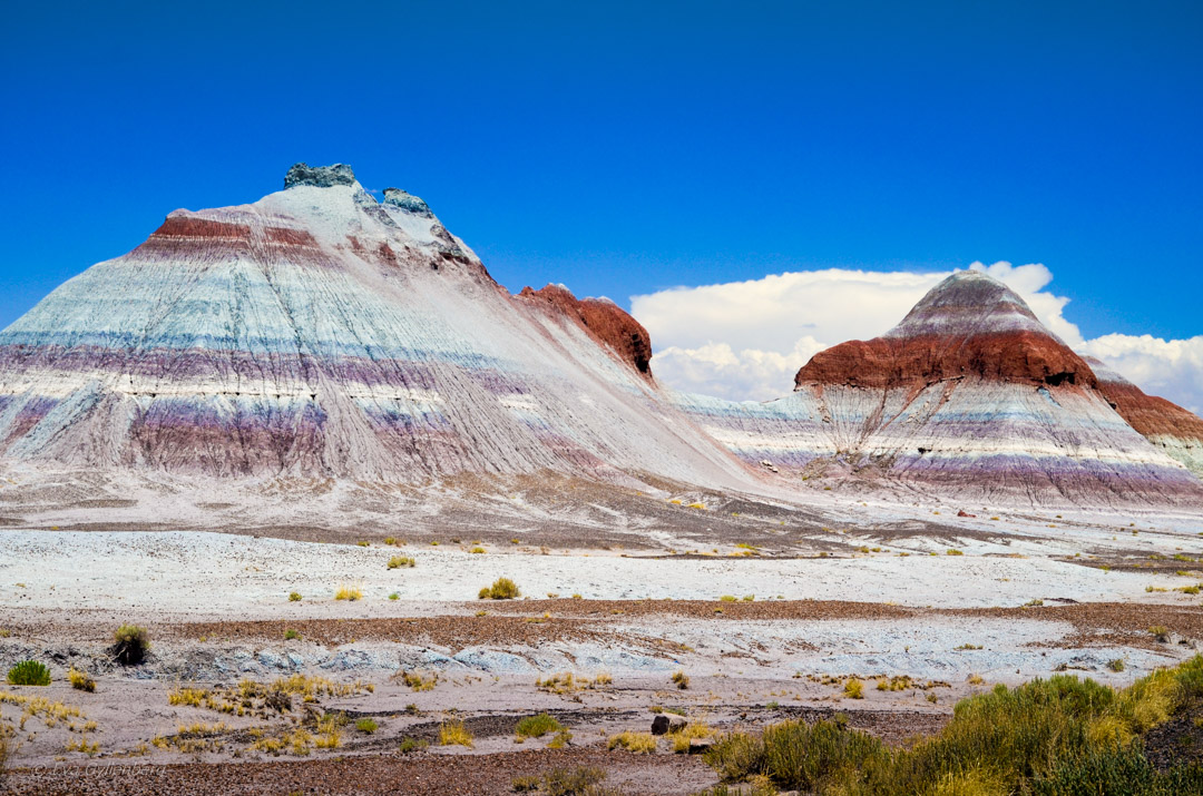 Petrified Forest National Park Arizona