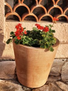 Provence –  Frankrike
