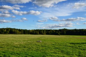 Enkoping (11)