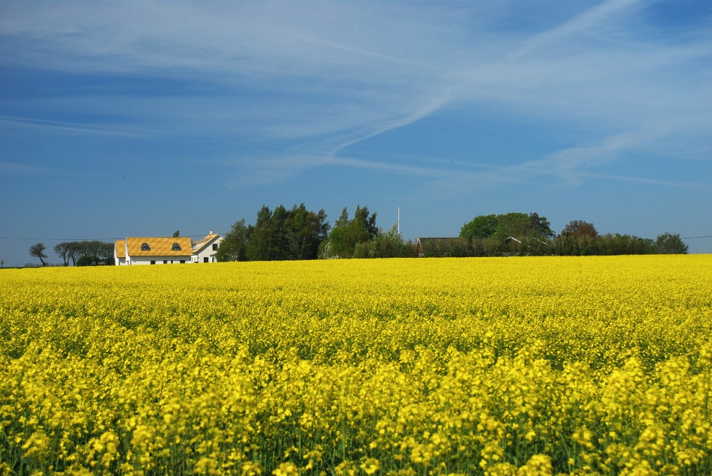 Car trip to Falsterbo-Skåne-Sweden