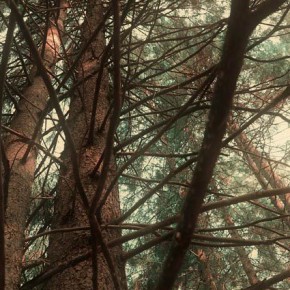 20120118-202258-950×425.jpg