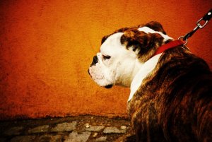 20120313-213511.jpg