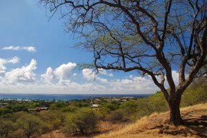 Diamond Head-Oahu-Hawaii-USA