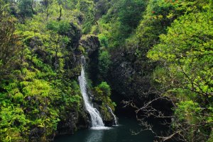 Maui-Hawaii-USA