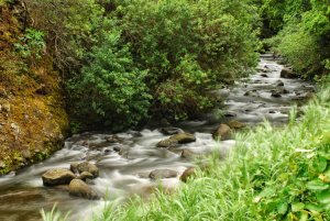 Maui-Hawaii-USA