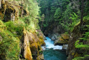 Mount Rainier NP, Washington, USA