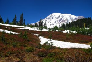 Mount Rainier NP, Washington, USA