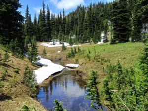 Mount Rainier NP, Washington, USA