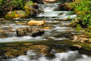 Mount Rainier NP, Washington, USA
