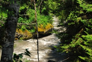North Cascades NP-Washington-USA