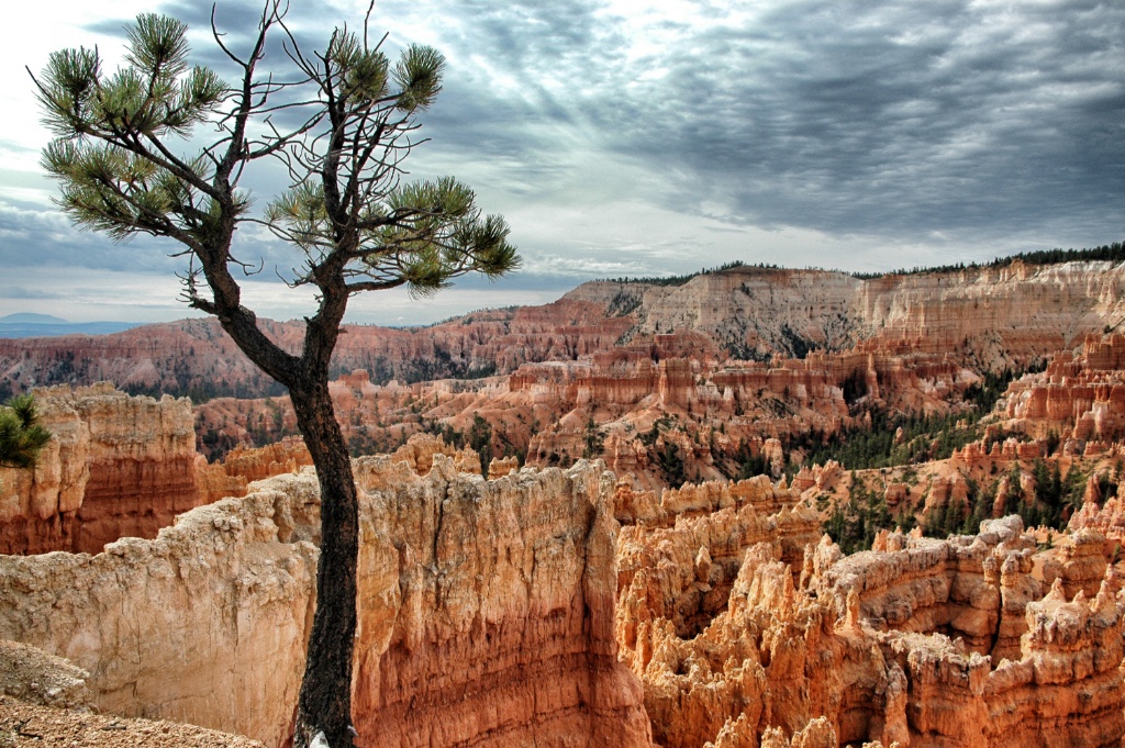 Bryce Canyon - Utah - USA