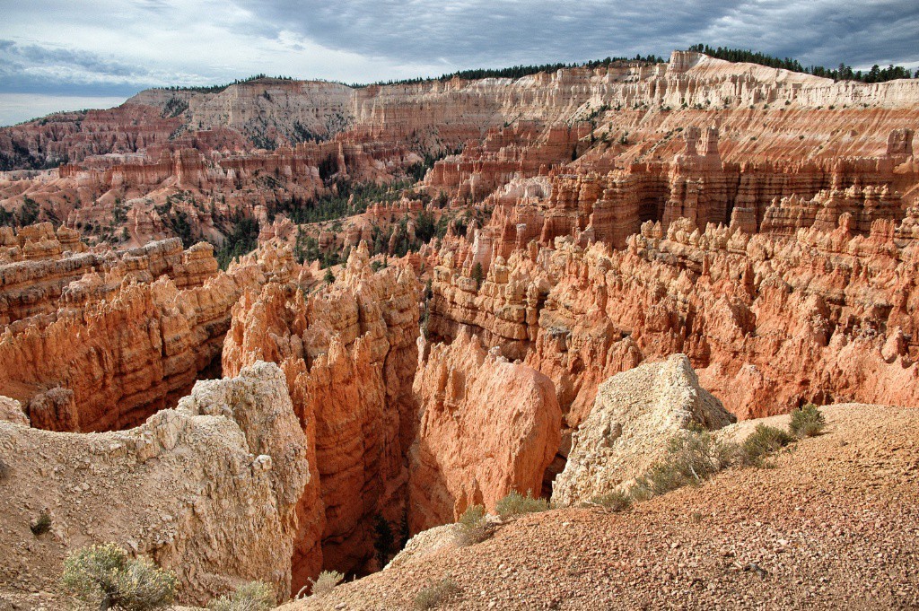 Bryce Canyon - Utah - USA
