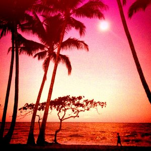 Solnedgång i Palm Cove