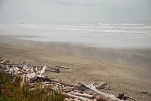 Olympic NP-Washington-USA
