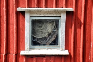 Käringön – Sverige