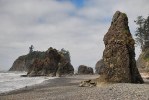 Olympic NP-Washington-USA