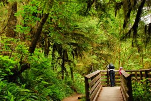 Olympic NP-Washington-USA