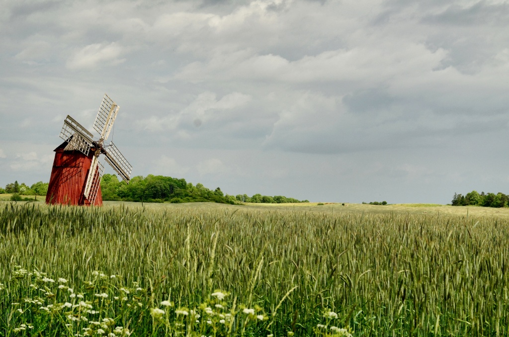 Wind mill-Sweden