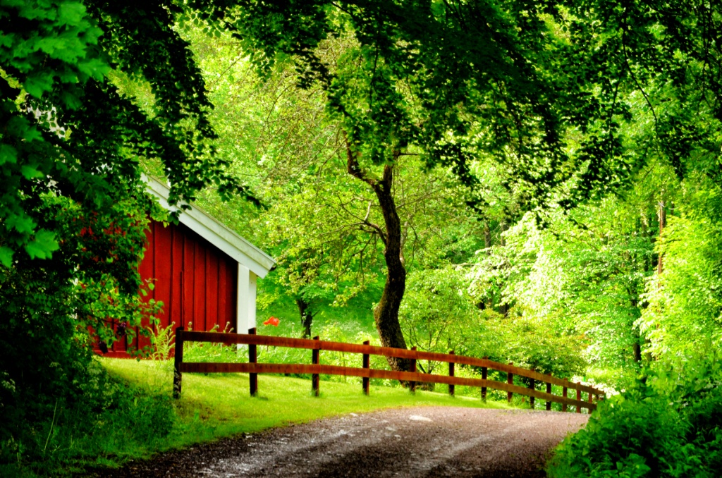 Country road-Gränna-Sweden