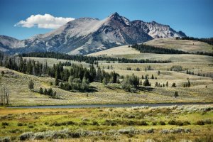 Yellowstone – Wyoming – USA