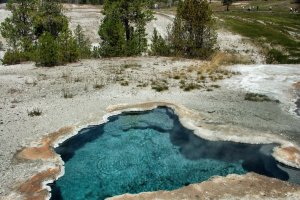 Yellowstone – Wyoming – USA