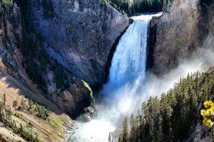 Yellowstone – Wyoming – USA
