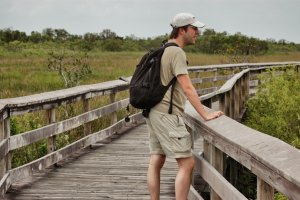 Everglades – Florida