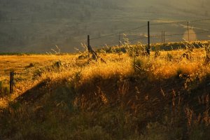Washington state-USA