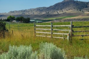 Washington state-USA
