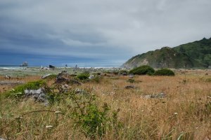 Kust – Kalifornien – USA