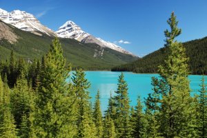 Banff-Alberta-Kanada