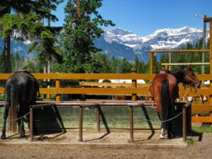 Banff-Alberta-Kanada