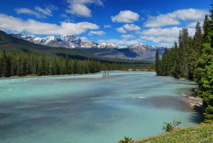 Jasper-Alberta-Kanada (3)
