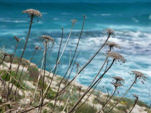 Mallorca – Spanien