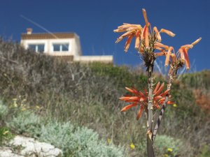 Mallorca – Spanien