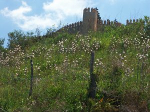 Mallorca – Spanien