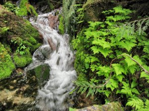 Whistler – Kanada (14)
