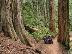 Whistler – Kanada (15)