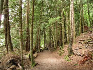 Whistler – Kanada (21)