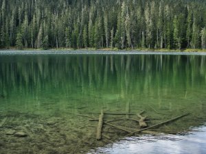 BC-Kanada (8)