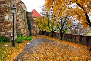 Kring slottet i Bratislava