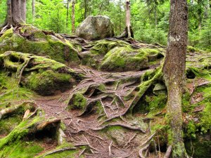 Mont tremblant-Quebec-Kanada