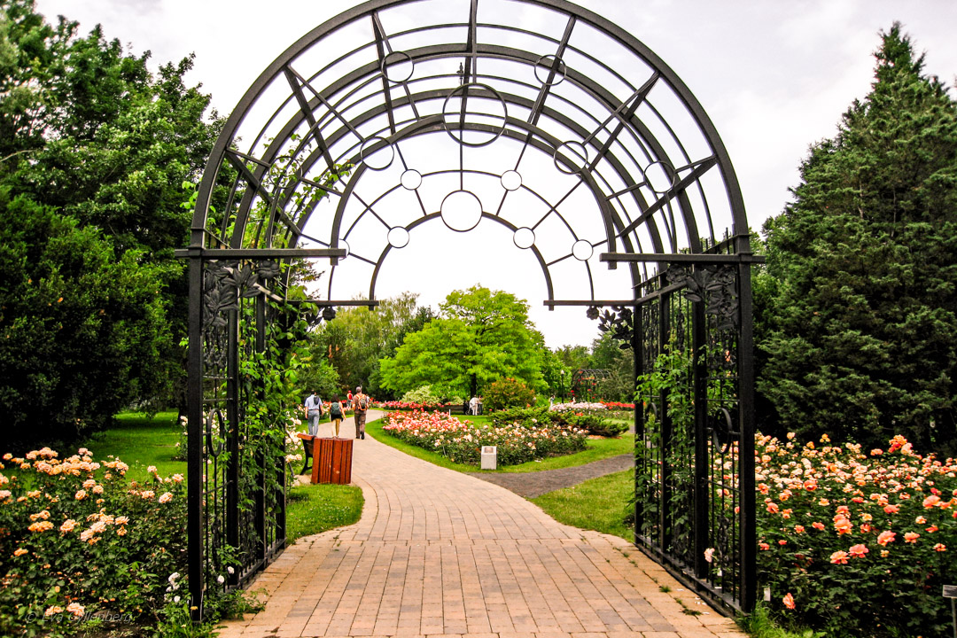 Botaniska trädgården i Montréal