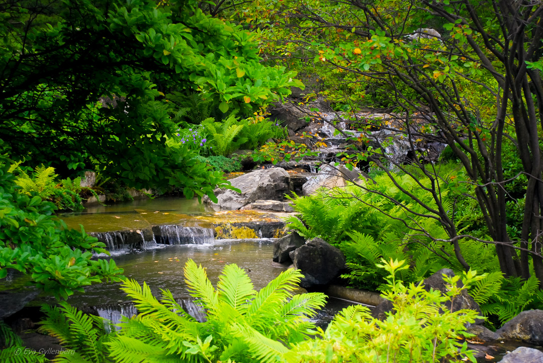 Botaniska trädgården i Montreal