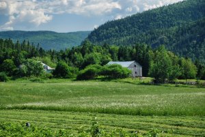 Saguanay-Québec-Kanada (8)