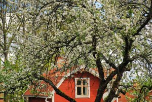 Sigtuna-Sverige