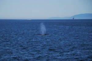 Valar-Saguanay-Québec-Kanada (3)